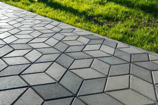Best Best Driveway Pavers  in Roanoke, IL