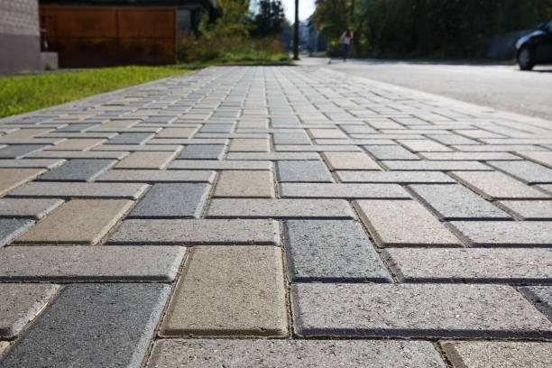 Best Driveway Pavers Near Me  in Roanoke, IL