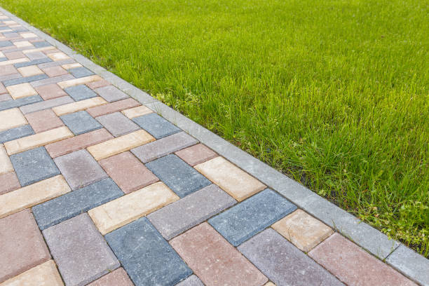 Best Residential Driveway Paver Services  in Roanoke, IL